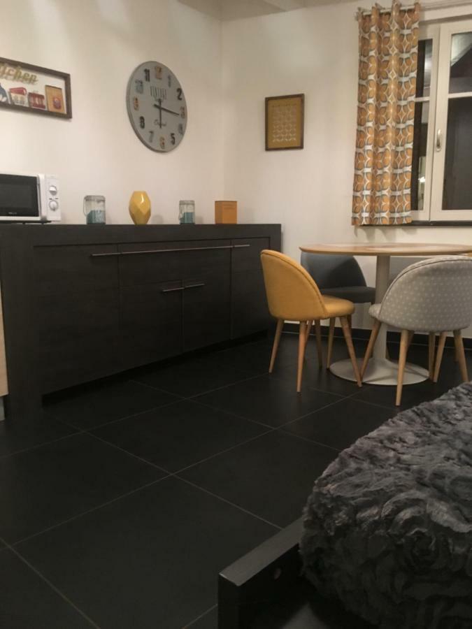 Les Appartements Berthe Molly Colmar Exterior photo